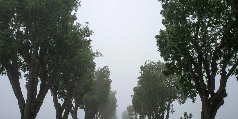 邯郸别墅装修设计核心要点：艺佳装饰揭秘奢华感、功能性与私密性的黄金平衡法则