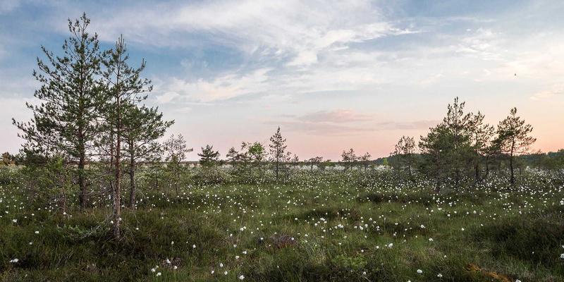 邯郸装修工期管理全解析：科学安排工序，杜绝延期与纠纷 | 邯郸艺佳装饰