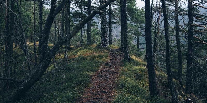 邯郸装修必读：环保材料全解析与本地健康供应商选择指南 | 邯郸艺佳装饰