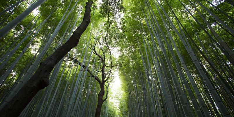 邯郸装修新趋势:智能家居系统集成如何打造未来感与便捷性并存的生活空间 | 邯郸艺佳装饰