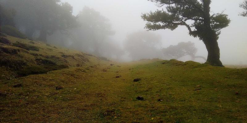 邯郸阳台改造灵感集：从洗衣房到迷你花园，解锁家庭多功能区 | 邯郸艺佳装饰
